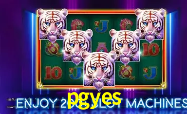 Descubra o Mundo do Cassino Online com pgyes