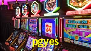 Experiência VIP pgyes